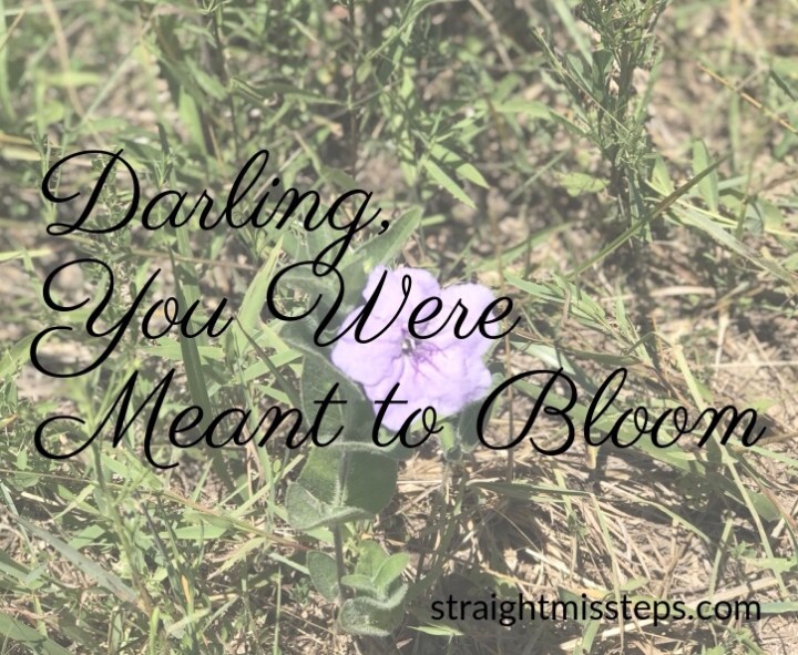 Darling, You Were Meant to&nbsp;Bloom